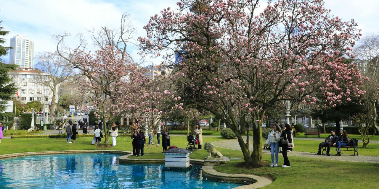 LOVE AND HAPPINESS IN SPRING