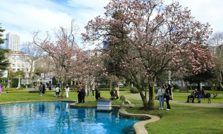 L&rsquo;AMOUR ET LE BONHEUR EN PRINTEMPS