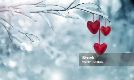 L&rsquo;AMÉTHYSTE EN FÉVRIER