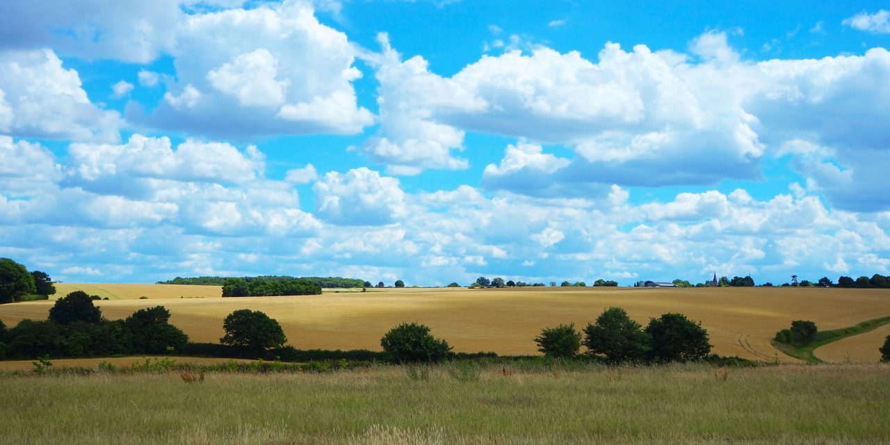 IL ZAFFIRO IN AGOSTO- SETTEMBRE