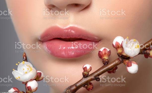 LA BEAUTÉ ET LES TRACES DE TAUREAU