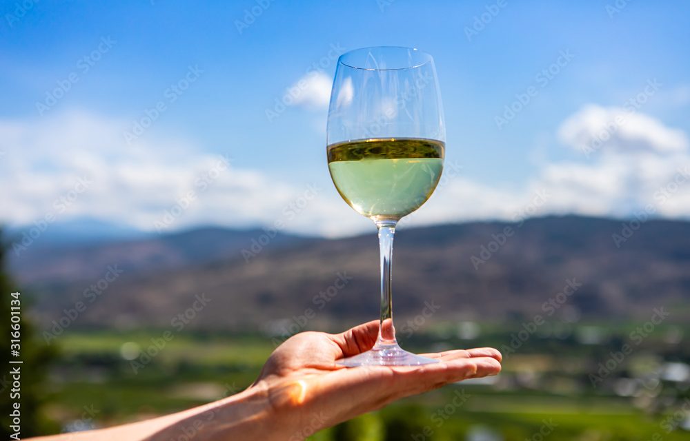 SAUVIGNON