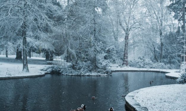 ORIGINALITÉ ET EMPATHIE EN FÉVRIER