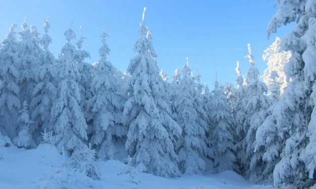 DÉTERMINÉ ET RESPONSABLE EN JANVIER