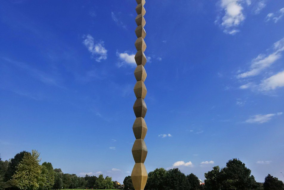 BRÂNCUSI  ET SA VISION MODERNE, LIBRE DANS L&rsquo;ART