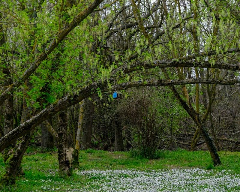 MISTERIOSI E SENTIMENTALI IN MARZO