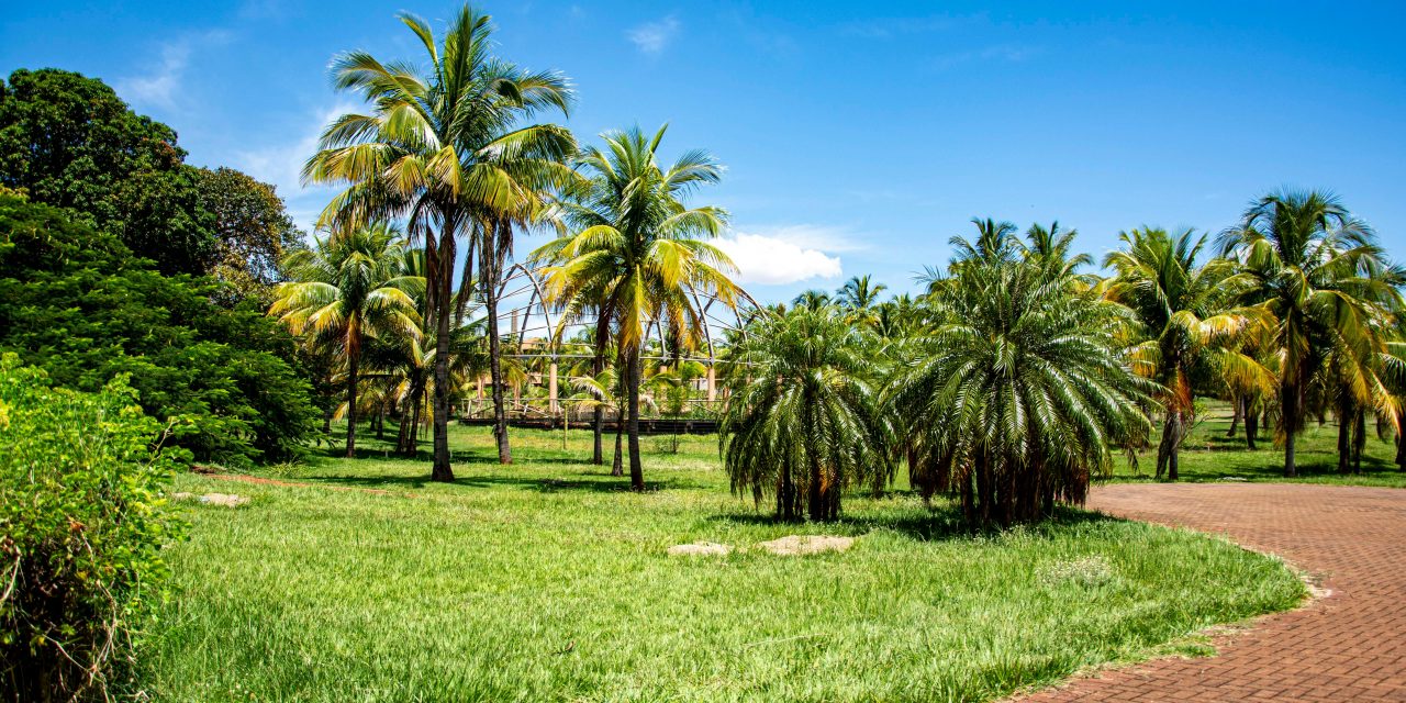 CURIOS ȘI COMUNICATIV ÎN MAI-IUNIE