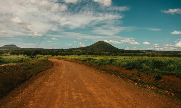 PROUD AND WIDE OF VITALITY IN AUGUST