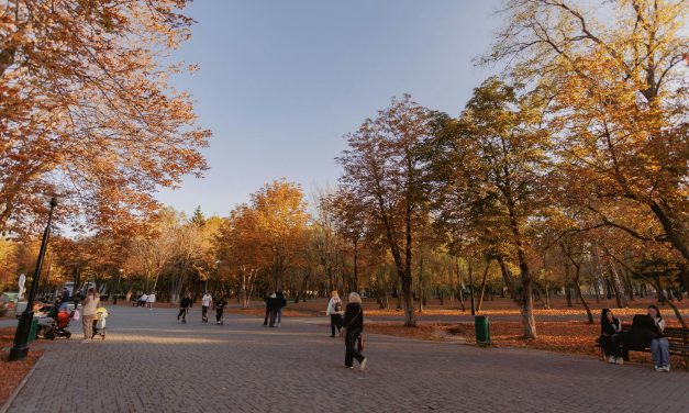 ECHILIBRUL ȘI JUSTIȚIA ÎN SEPTEMBRIE