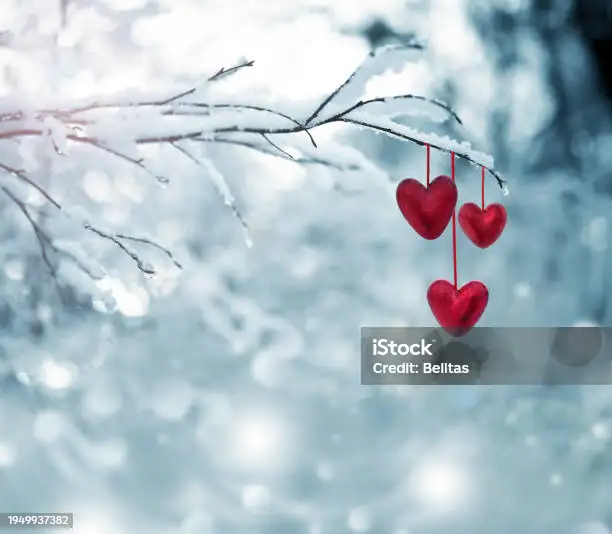 THE AMETHYST IN FEBRUARY