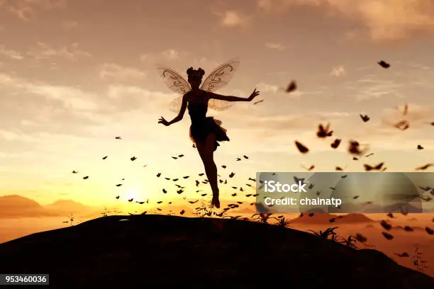 THE LIFE E THE POINT