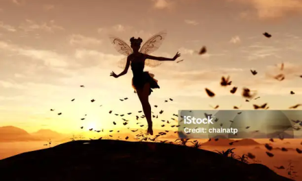 LA FELICITÀ E IL PUNTO